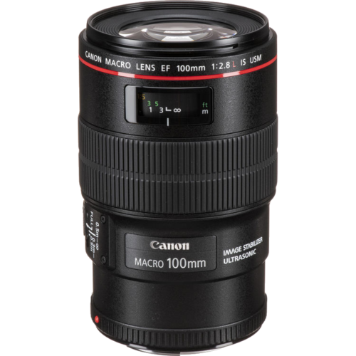 Ef 100Mm F/2.8 L Macro Is Usm