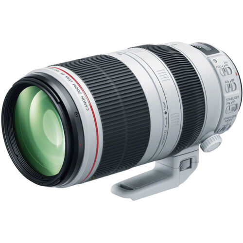 Canon Ef 100-400Mm F/4.5-5.6 L Is Ii Usm Lens
