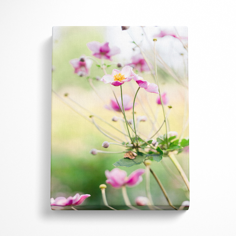 A Canvas Wrapped Picture Of A Pink Flower