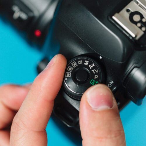 Intro To Digital Photography: Part 1 – March 24, 2025