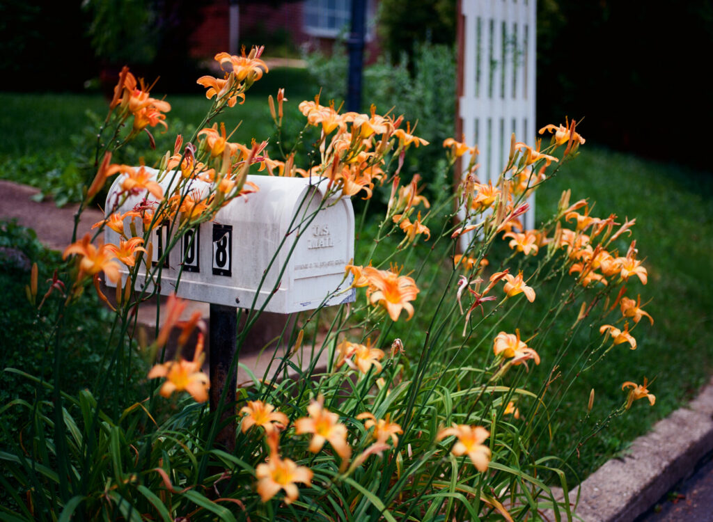 Kodak Ektar 100 2 Lawpreview 7 | Kodak Ektar 100