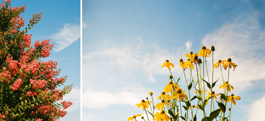 000073990005B | Kodak Colorplus 200