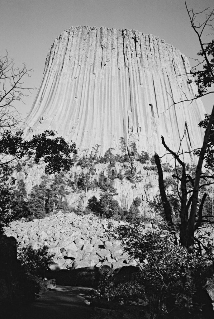 24 05 Olyzoom105R Xp2 2997 25 | Ilford Xp2 Super 400