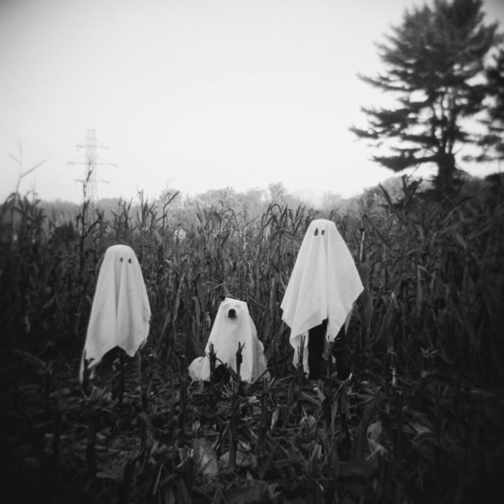 Screenshot 2025 10 27 At 12.42.33 Pm | Ilford Xp2 Super 400