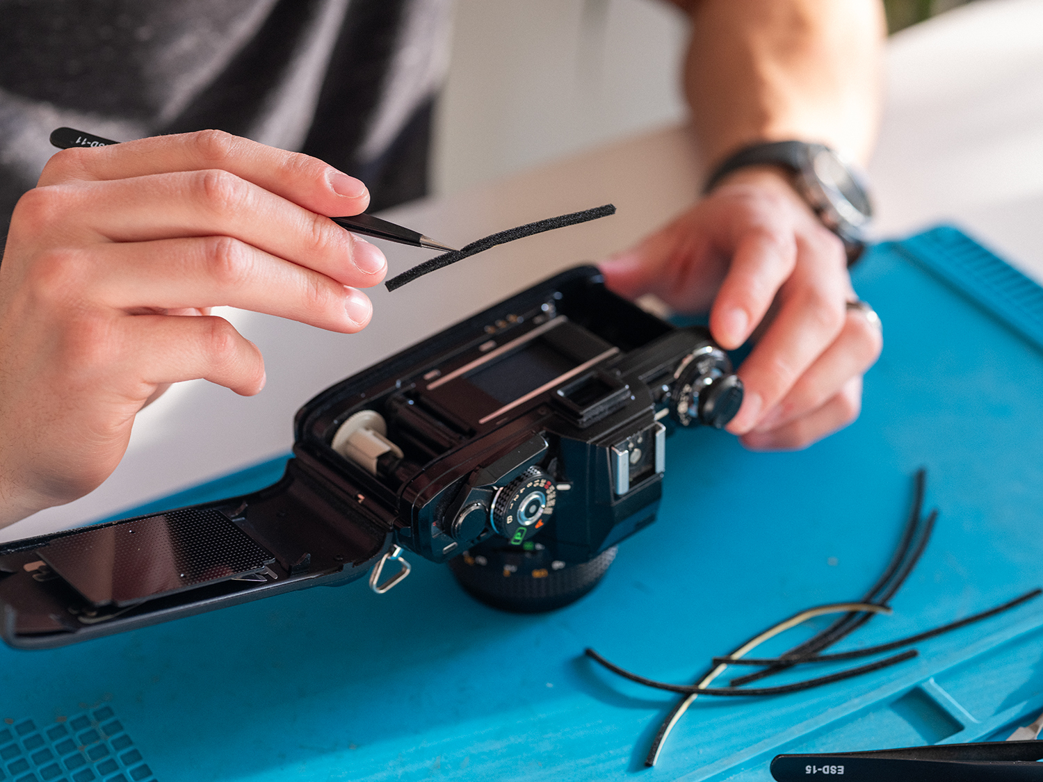 Camera Care Month 2 Lightseals | Camera Care Month