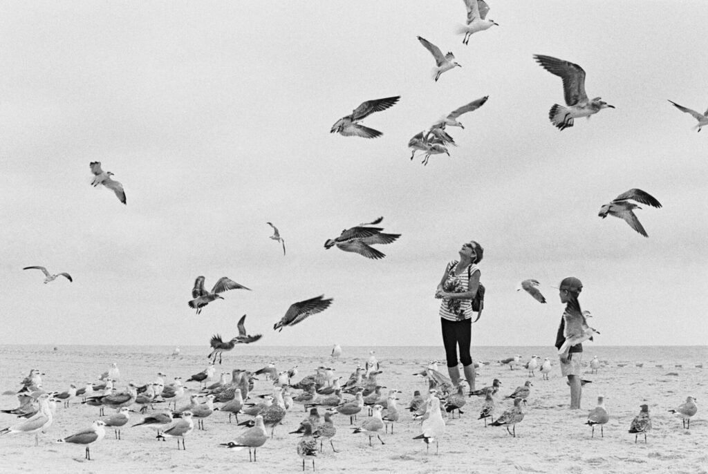 20240925 Nikonfe2 Kodaktrix400 034 | Kodak Tri-X 400