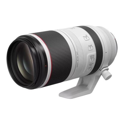 Canon Rf 100 500Mm | Canon Rf 100-500Mm F/4.5-7.1 L Is Usm